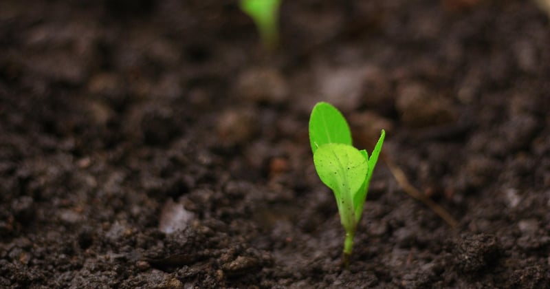 Développer sa startup : les stratégies de croissance qui changent tout