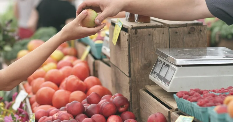 Le contenu qui fidélise : 4 formats qui fonctionnent vraiment